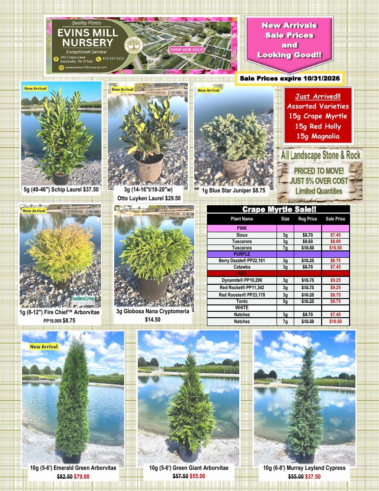 September 2026 Specials