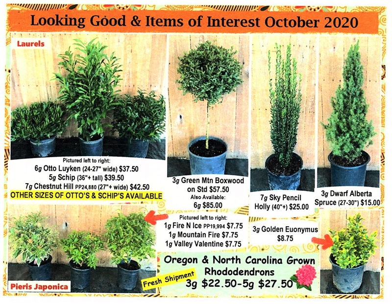 Evins Mill Nursery Wholesale container grower located in Smithville